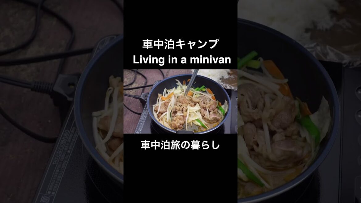 【車中泊】軽自動車で暮らす日常 | Living in a Minivan #shorts 【車中泊】軽自動車で暮らす日常 | Living in a Minivan #shorts