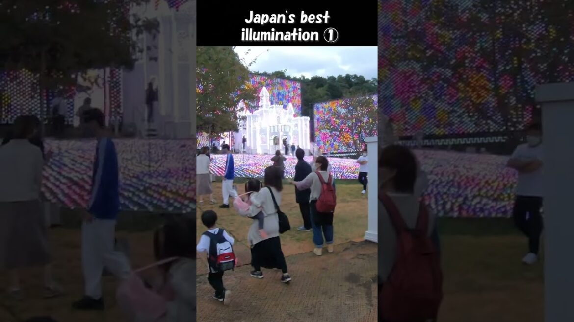 Japan's best illumination "Ashikaga Flower Park"① #shorts