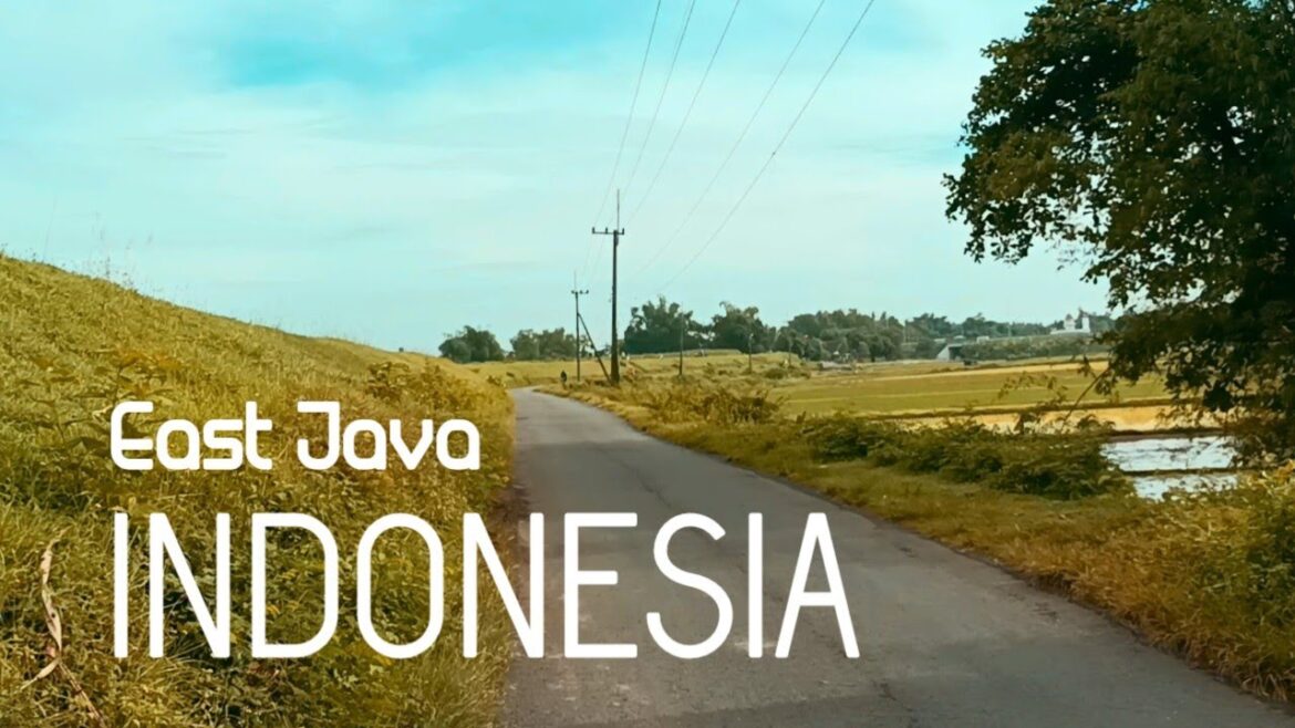 Cycling Around the Village | Enjoying the Natural Beauty of Indonesian Rural | Day 113