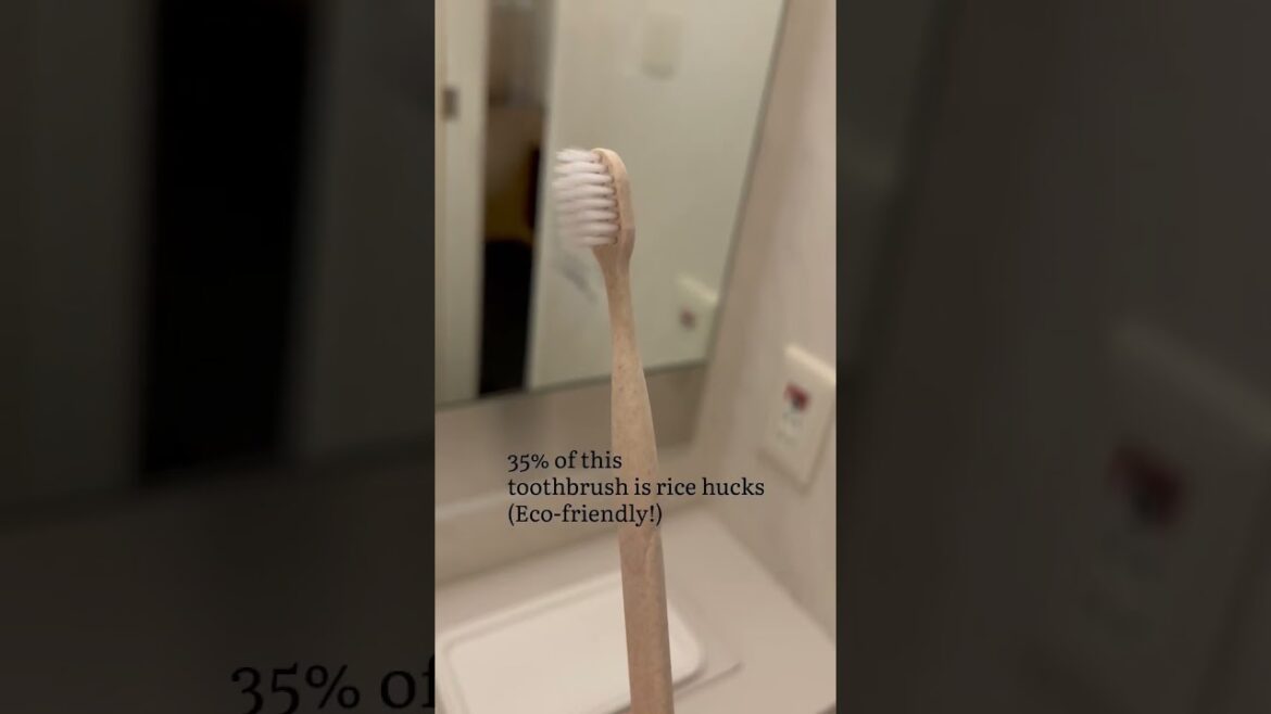 【room tour】Kansai Airport Washington Hotel | Sora Tabi