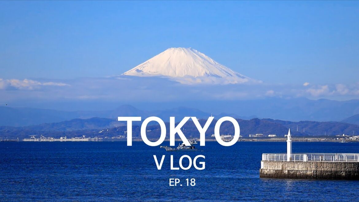 도쿄·근교 9일 | Ep18 | 바다가 보이는 멋진 근교여행지 [에노시마]