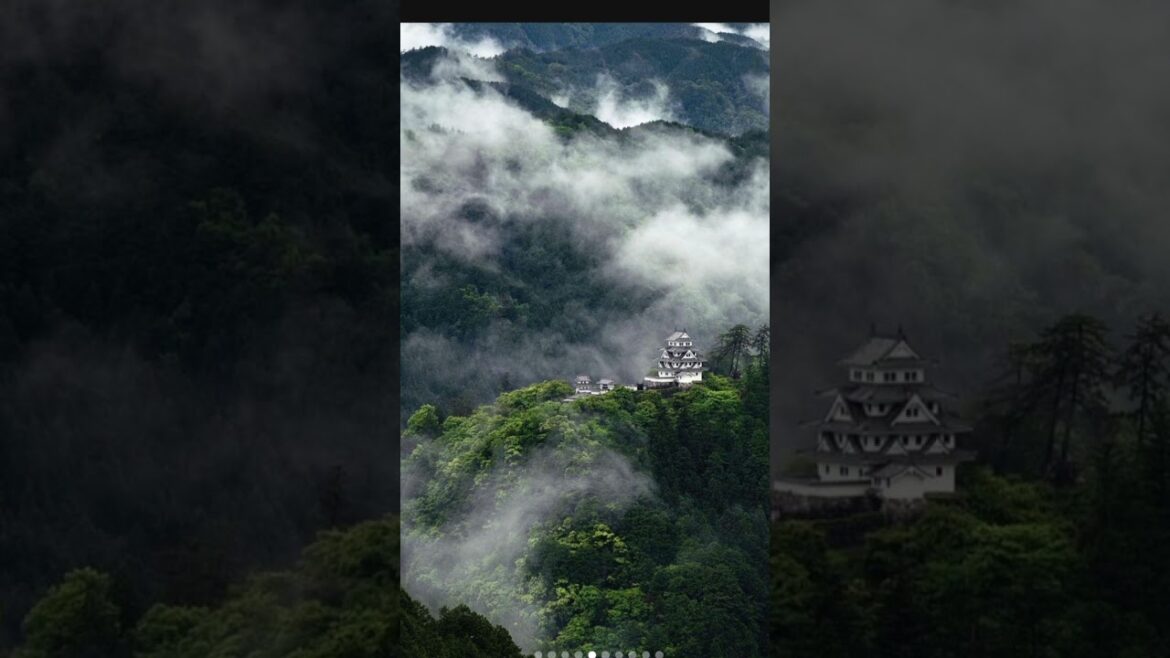 Warriyo moterals - Beauty of the world #youtubshorts #shorts #japan #nature #world #beauty #mistery