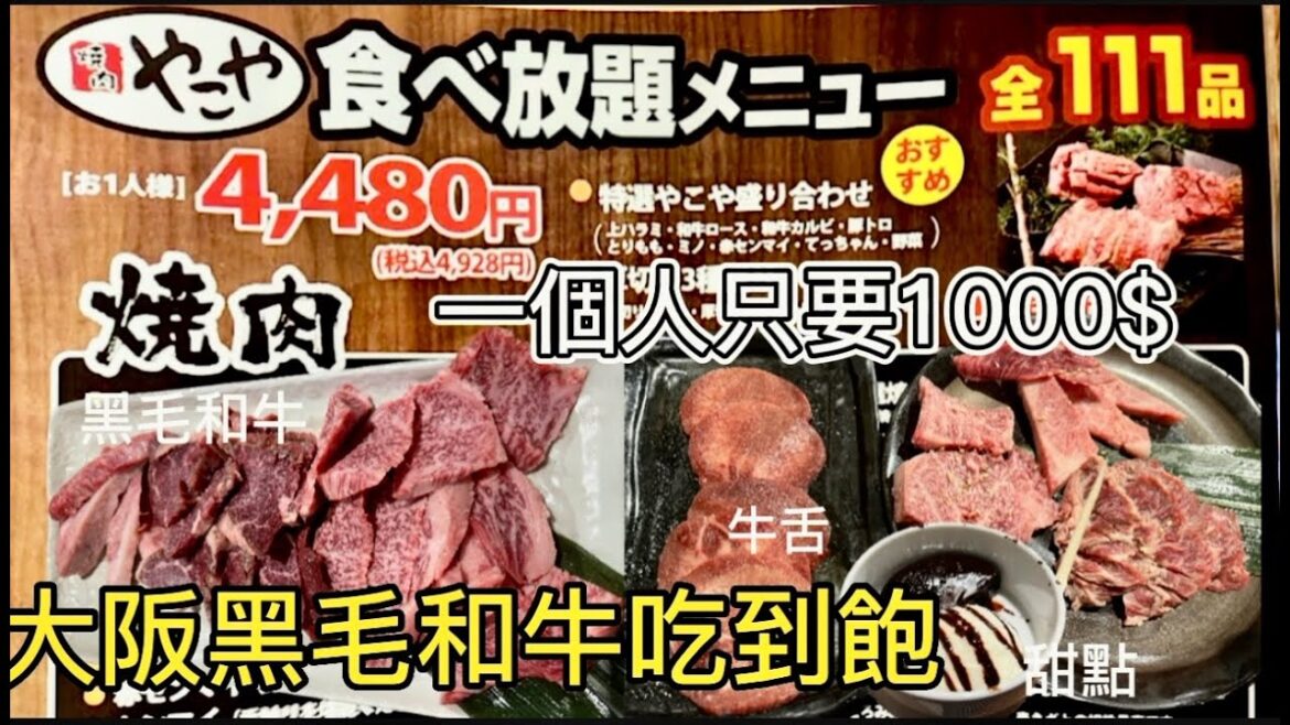 2023日本大阪旅遊必看🇯🇵大阪美食黑毛和牛燒肉1000$吃到飽!牛舌,松阪豬都吃到飽,甜點也爆好吃,划算CP值破表|大阪 |日本|吃到飽|大阪烤肉 2023日本大阪旅遊必看🇯🇵大阪美食黑毛和牛燒肉1000$吃到飽!牛舌,松阪豬都吃到飽,甜點也爆好吃,划算CP值破表|大阪 |日本|吃到飽|大阪烤肉