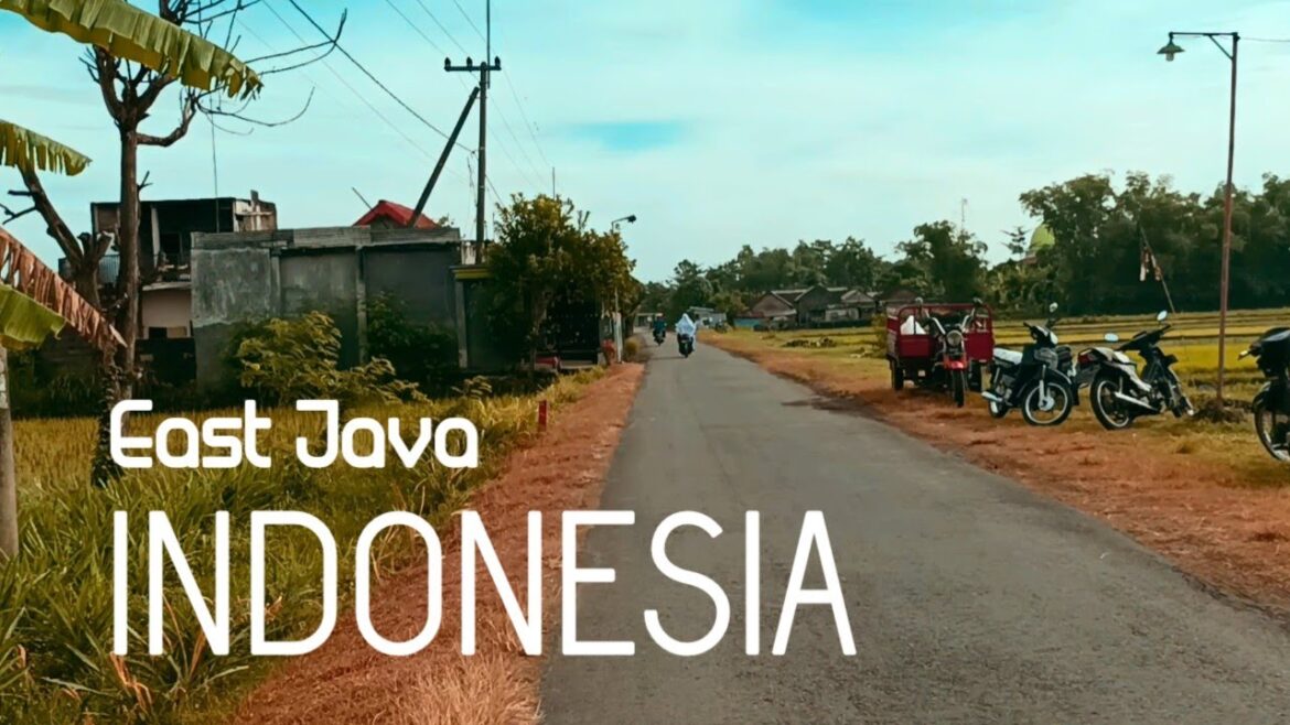 Cycling Around the Village | Enjoying the Natural Beauty of Indonesian Rural | Day 112