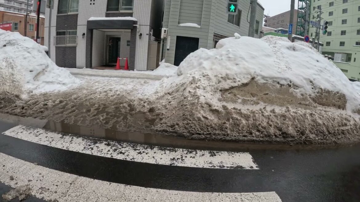 Blazingsword - Japan 2023 - Sapporo