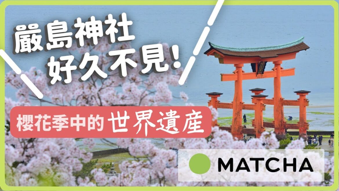 【廣島賞櫻】人氣櫻花景點：宮島、嚴島神社、上野公園、廣島城｜MATCHA帶路玩日本
