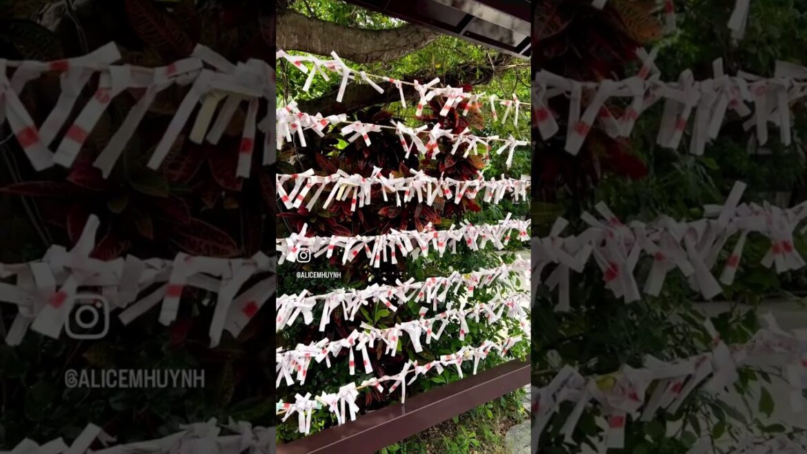 Naminoue Shrine in Okinawa | Alice M. Huynh