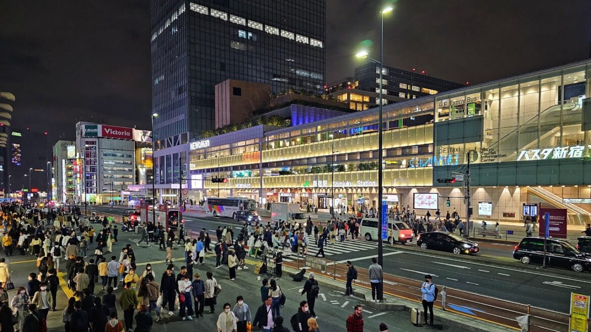 Tokyo - Shinjuku Evening Walk