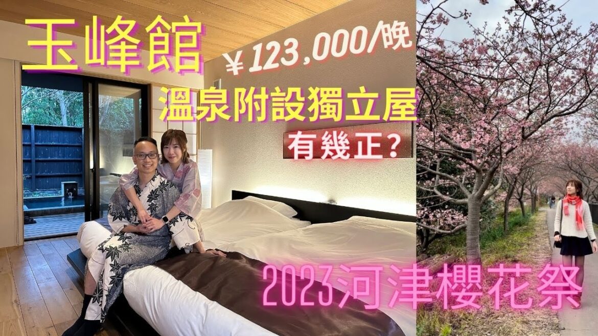【日本東北自由行2023】 河津櫻花祭| 玉峰館 溫泉附設獨立屋|¥123,000/晚|真係超正體驗 【日本東北自由行2023】 河津櫻花祭| 玉峰館 溫泉附設獨立屋|¥123,000/晚|真係超正體驗