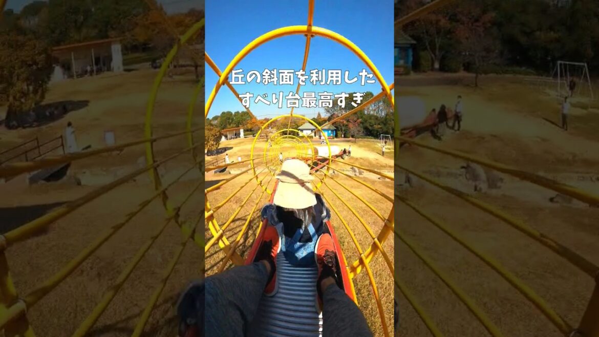 【遊び場】絶対に盛り上がる大型遊具★諏訪公園で子どもと一緒に遊ぼう♪福岡観光★ローラーすべり台/水遊び/体験/福岡県 #shorts