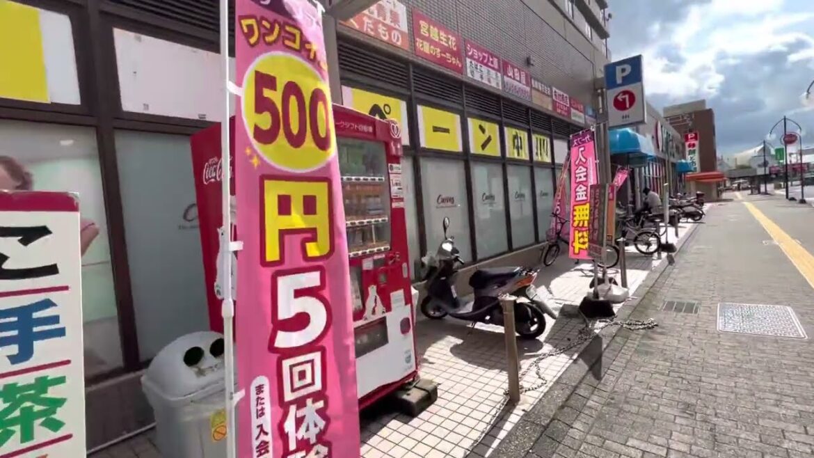 📍 Kagoshima, Japan | Lakay Travel 2/2 ⚓️