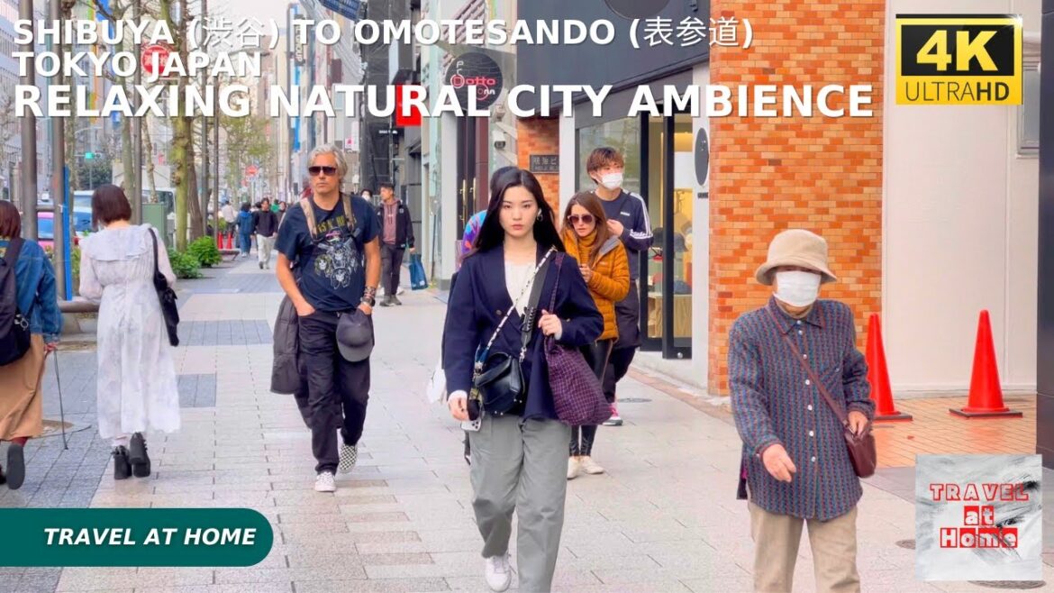 4k hdr japan travel | Walk in Tokyo japan from Shibuya (渋谷) to Omotesando (表参道) | Relaxing ambience 4k hdr japan travel | Walk in Tokyo japan from Shibuya (渋谷) to Omotesando (表参道) | Relaxing ambience