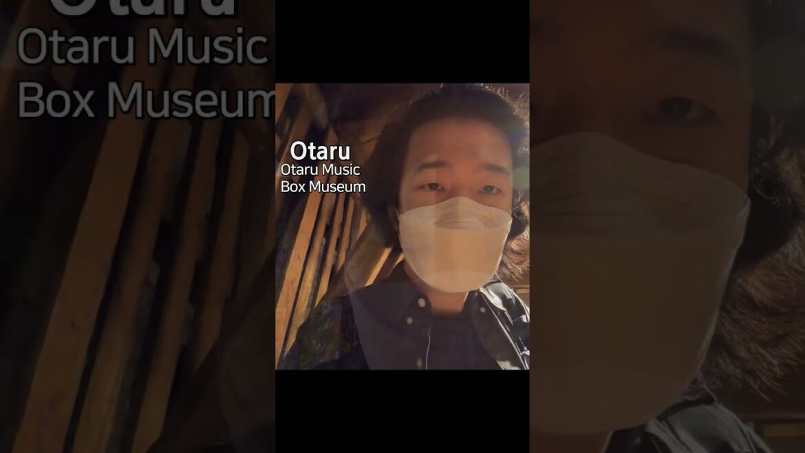 私は美しい音楽に酔いしれた