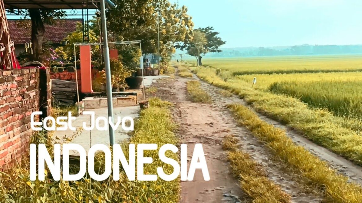 Cycling Around the Village | Enjoying the Natural Beauty of Indonesian Rural | Day 115 Cycling Around the Village | Enjoying the Natural Beauty of Indonesian Rural | Day 115
