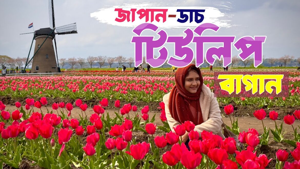 Tulip Garden Near Tokyo | Sakura Furusato Square | Sakura City Tokyo | Netherlands style Windmill Tulip Garden Near Tokyo | Sakura Furusato Square | Sakura City Tokyo | Netherlands style Windmill