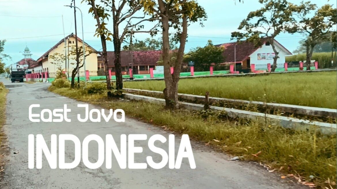 Cycling Around the Village | Enjoying the Natural Beauty of Indonesian Rural | Day 114 Cycling Around the Village | Enjoying the Natural Beauty of Indonesian Rural | Day 114