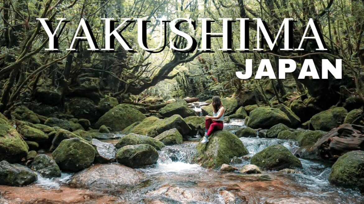 WHAT TO DO IN YAKUSHIMA: Exploring Hidden Japan Part 2 (Yakusugi Land, Shiratani Unsuikyo)