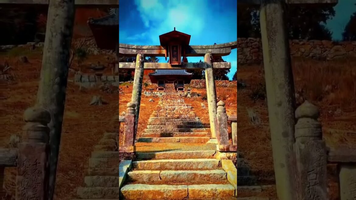 Incredible place in Okayama 🇯🇵 #short #shorts #travel #explore #globetrotter #monde #shortsfeed Incredible place in Okayama 🇯🇵 #short #shorts #travel #explore #globetrotter #monde #shortsfeed