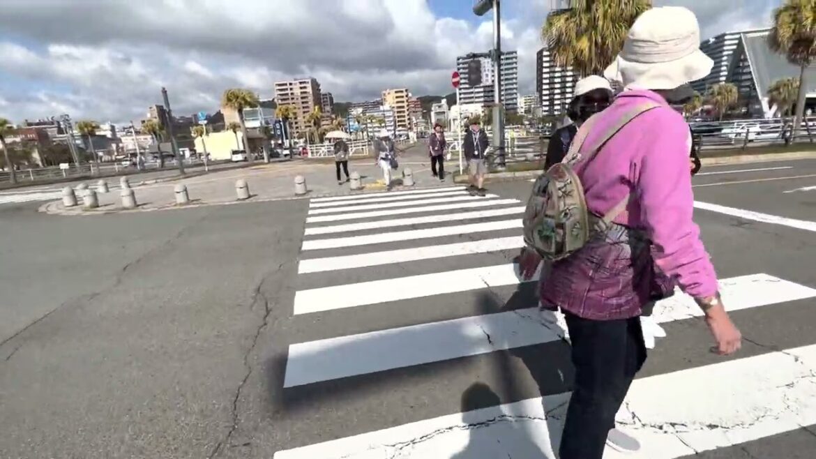 📍 Kagoshima, Japan | Lakay Travel 1/2 ⚓️