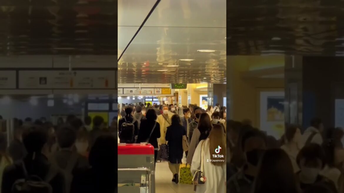 Sunday Morning at Tokyo Station