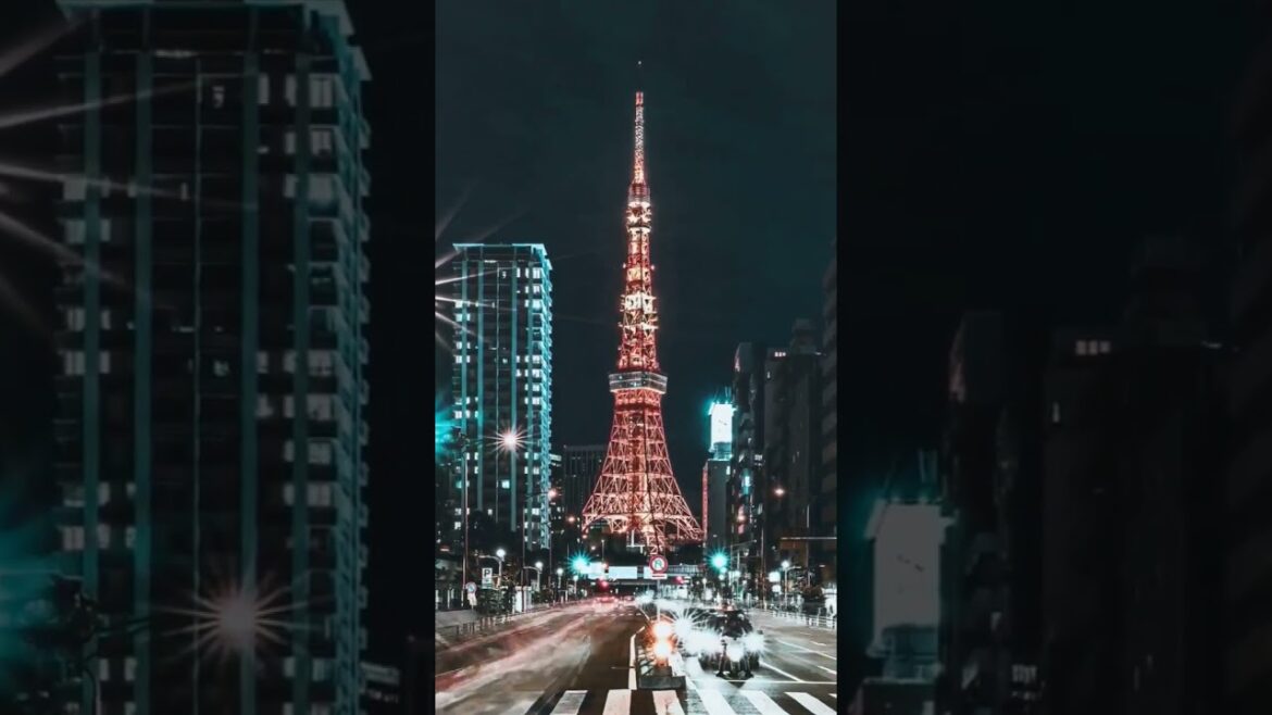 Discover Tokyo 2023 | ueno park | visit japan web | tokyo travel guide | tokyo vlog 2023 | asakusa