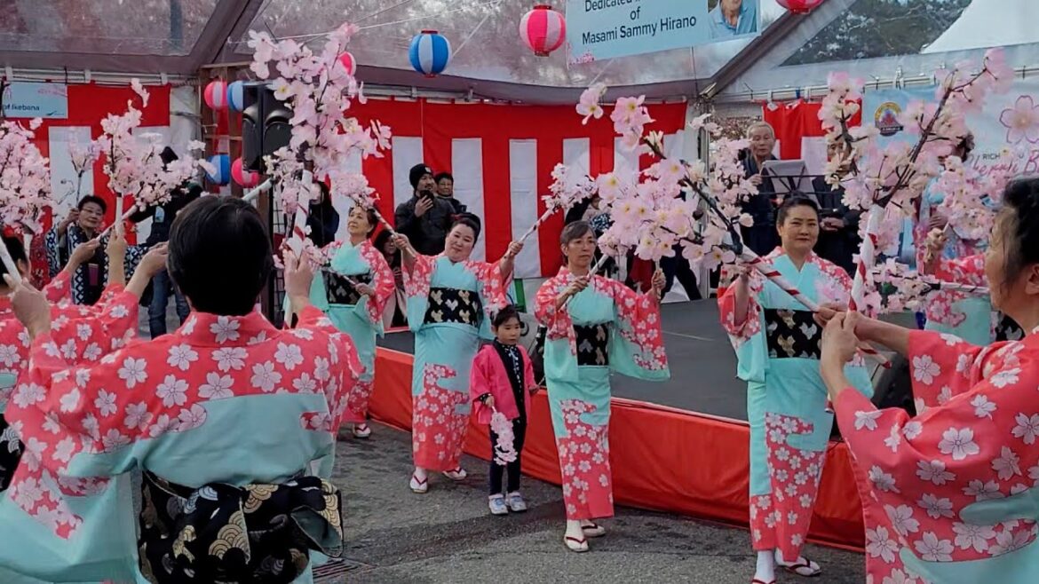 Explore Vancouver | Richmond Cherry Blossom Festival April 2 2023