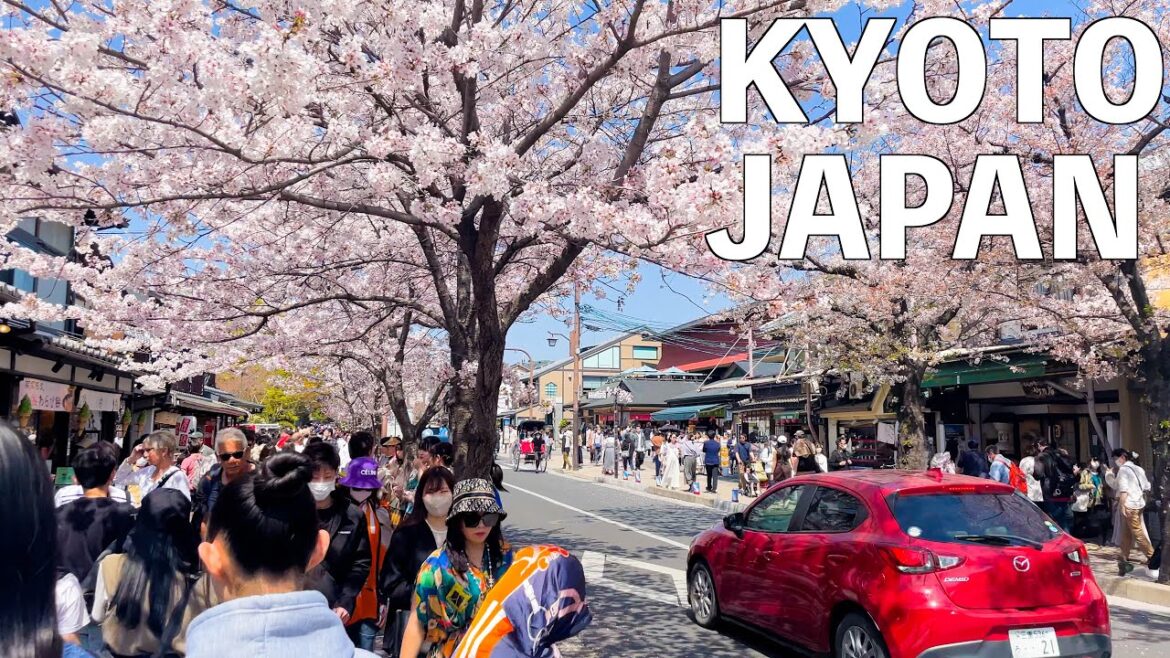 【4K】Kyoto, Arashiyama walk tour in Spring 2023