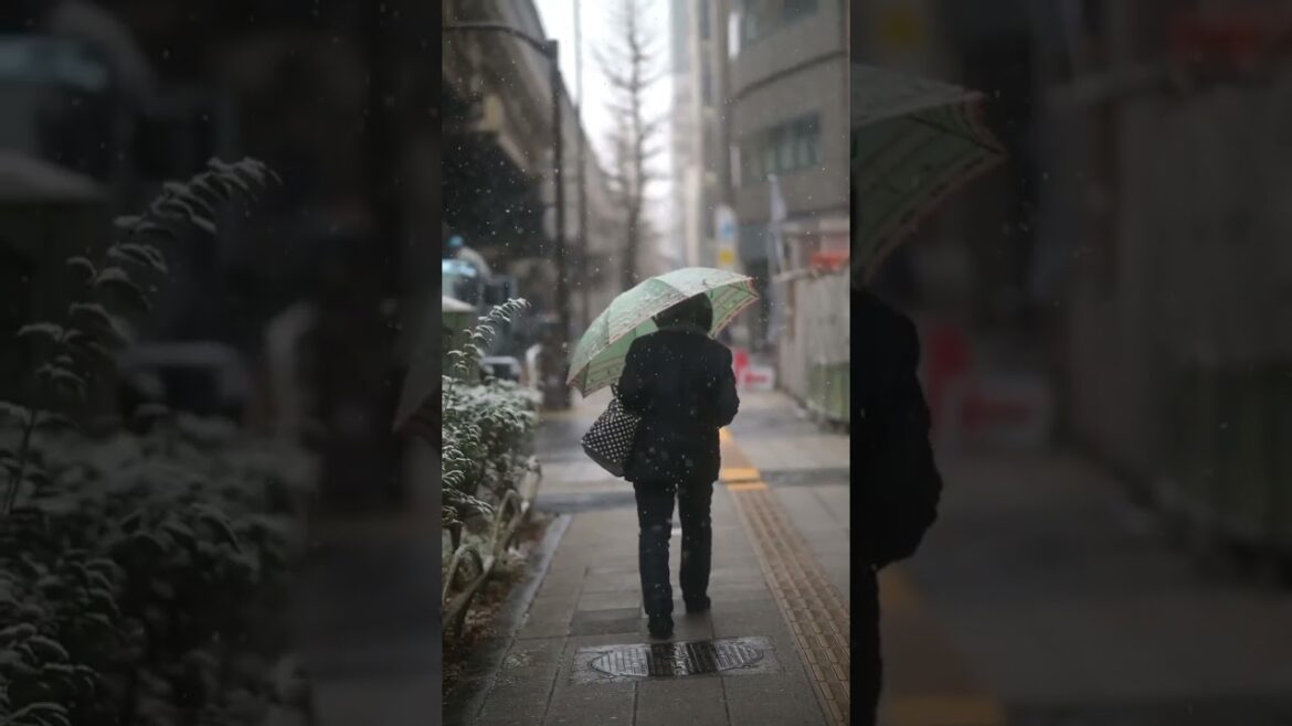 Magical snowfall in Tokyo ❄️#short #shorts #travel #vacation #explore #monde #shortsfeed Magical snowfall in Tokyo ❄️#short #shorts #travel #vacation #explore #monde #shortsfeed
