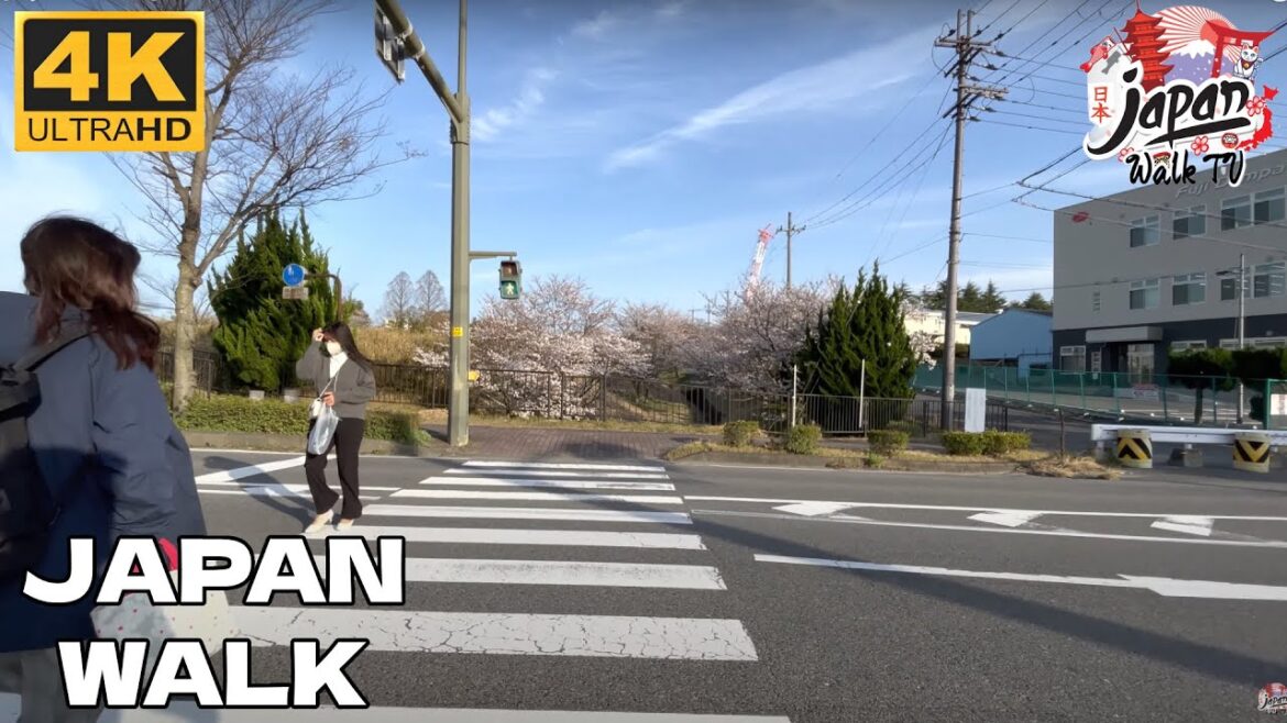 4K JAPAN WALK – Walking Around in early April in Japan Cherry blossoms bloom 2023 – Japan Walk TV 4K JAPAN WALK - Walking Around in early April in Japan Cherry blossoms bloom 2023 - Japan Walk TV