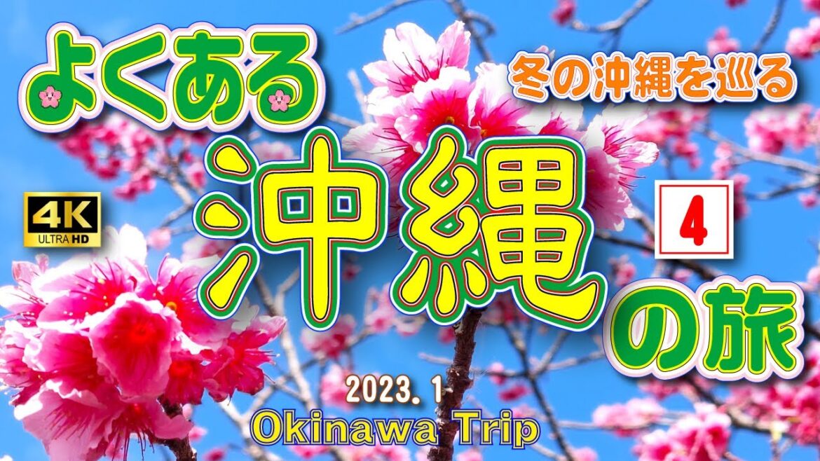 sub) 4K【沖縄旅行】冬の沖縄４泊５日の旅。3日目前編🚗　④【沖縄観光】　Vol.31