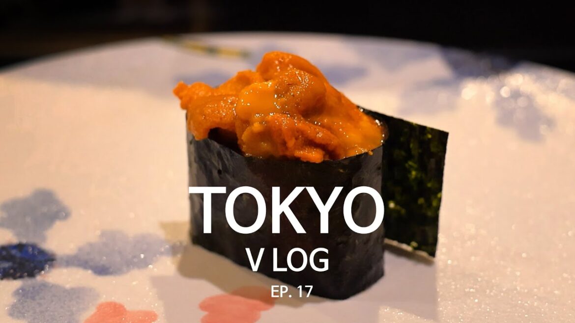도쿄·근교 9일 | Ep17 | 갓성비 스시 오마카세 [Edomae SS] | 신주쿠 밤 산책