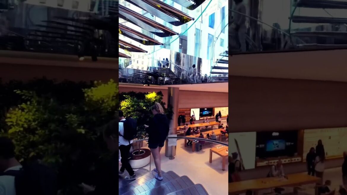 Apple Cube 5th Avenue Spiral Stairs #travel #walkingtour #newyorkcity #nyc #manhattan #subscribe Apple Cube 5th Avenue Spiral Stairs #travel #walkingtour #newyorkcity #nyc #manhattan #subscribe