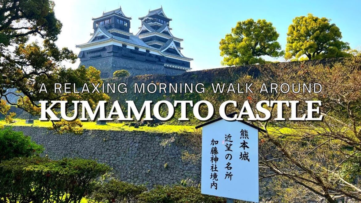 Relaxing Morning Walk around Kumamoto Castle | Cherry Blossoms in Spring, 2023 | Kumamoto, Japan