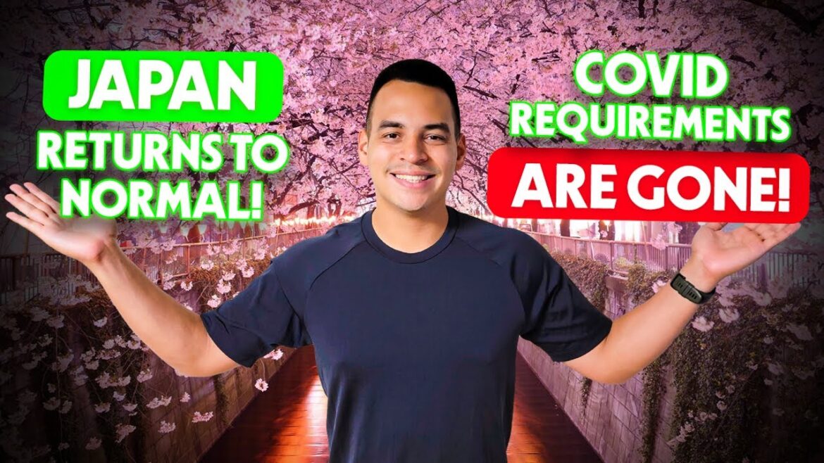 THE Japan Travel Update To End ALL UPDATES! COVID Requirements GONE & MORE Good News!