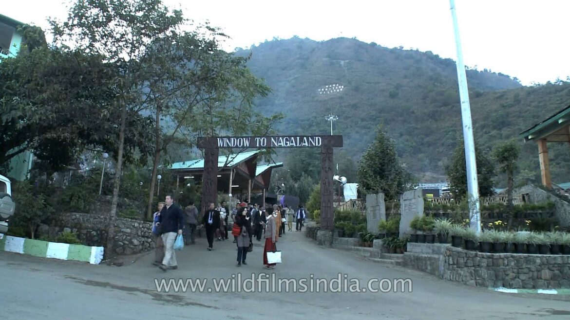 Window to Nagaland - Naga Heritage Village, Kisama