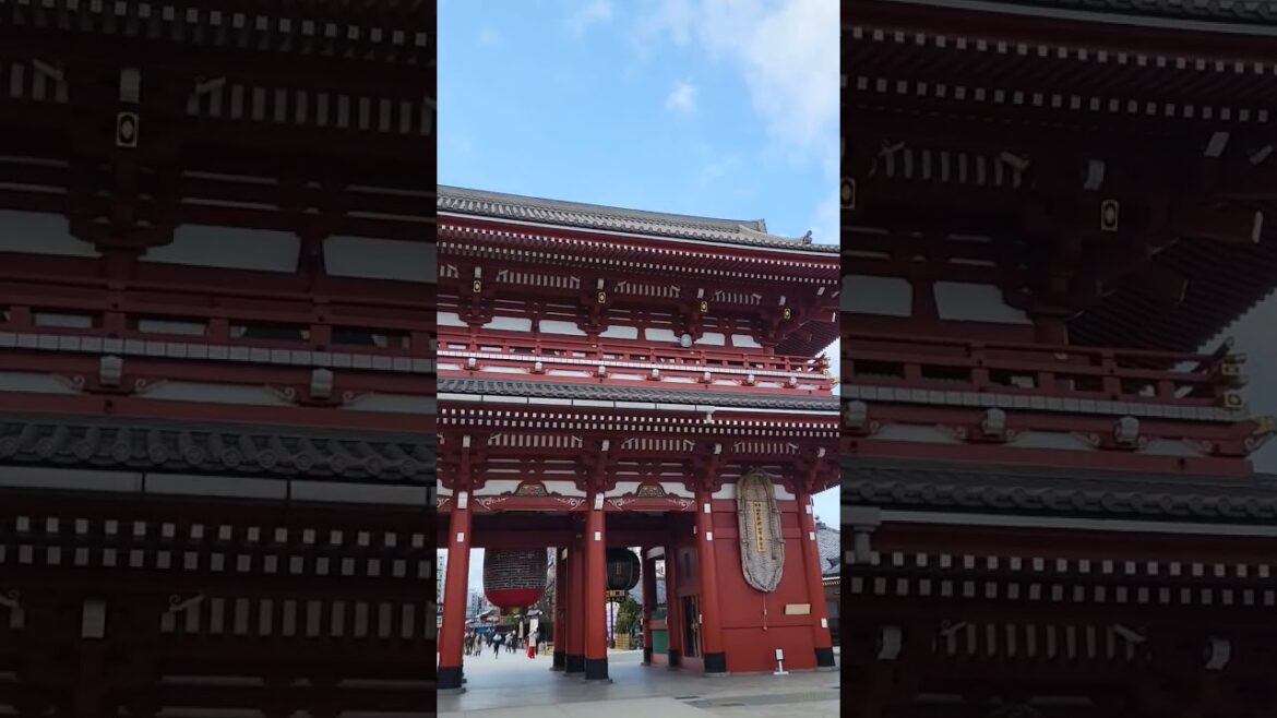 #japan #tokyo #travel #reels #shorts #vacation #temple #buddha #sensoji #japanese #asia #history