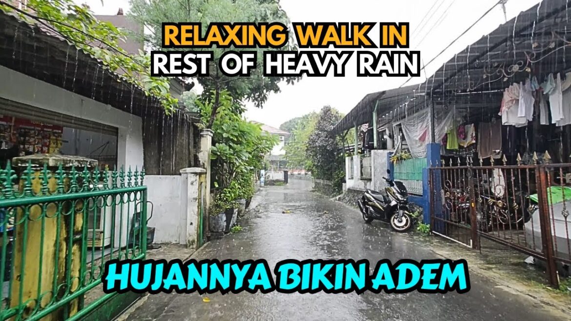 Relaxing Walk In Rest Of Heavy Rain While Enjoying The Cool Weather Like In The Countryside Relaxing Walk In Rest Of Heavy Rain While Enjoying The Cool Weather Like In The Countryside