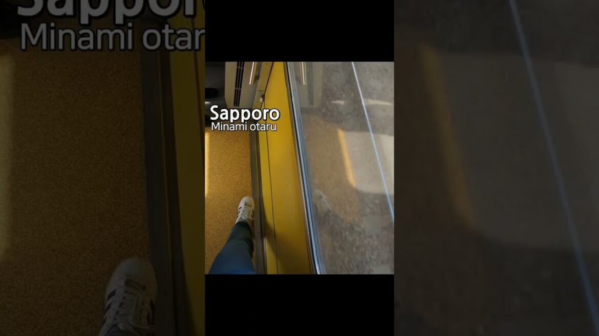 電車から見た眩しい北海道の海の幻想的な風景