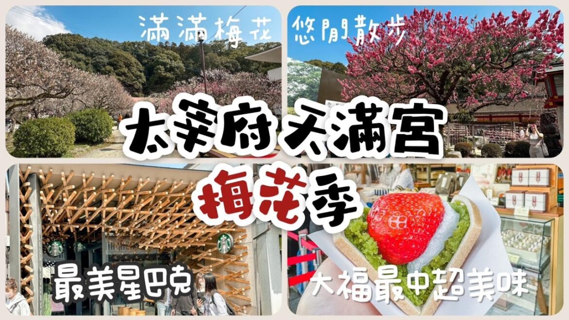 日本九州福岡快閃二日遊Day2｜2023太宰府天滿宮｜梅花季｜表參道｜天開稻荷社｜草莓大福 天山最中