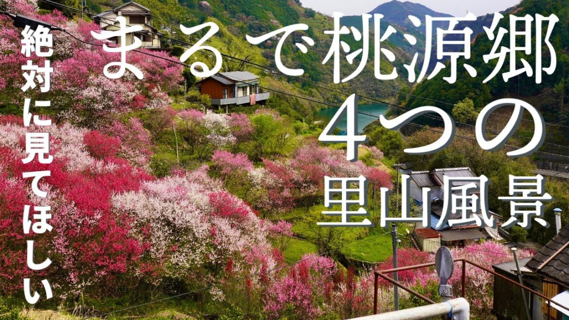 【まるで桃源郷のような集落 】美しすぎる日本の４つの里山風景 / 未来に残したい「高知」の春