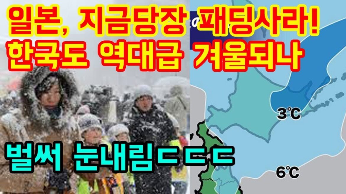 일본에서 지금당장 겨울 패딩을 사라고하는 충격적인 이유 TOP3