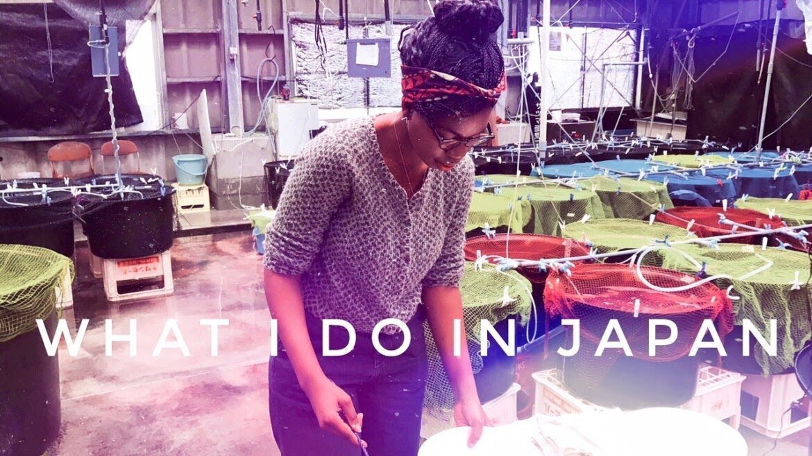 What I do in Japan and Advice to Future Students