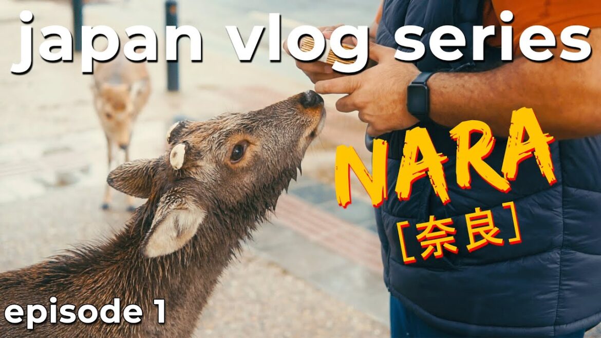 Japan Travel Vlog | Konbini's, Deer Encounters & Mochi Madness 🇯🇵🦌🍡 EP1