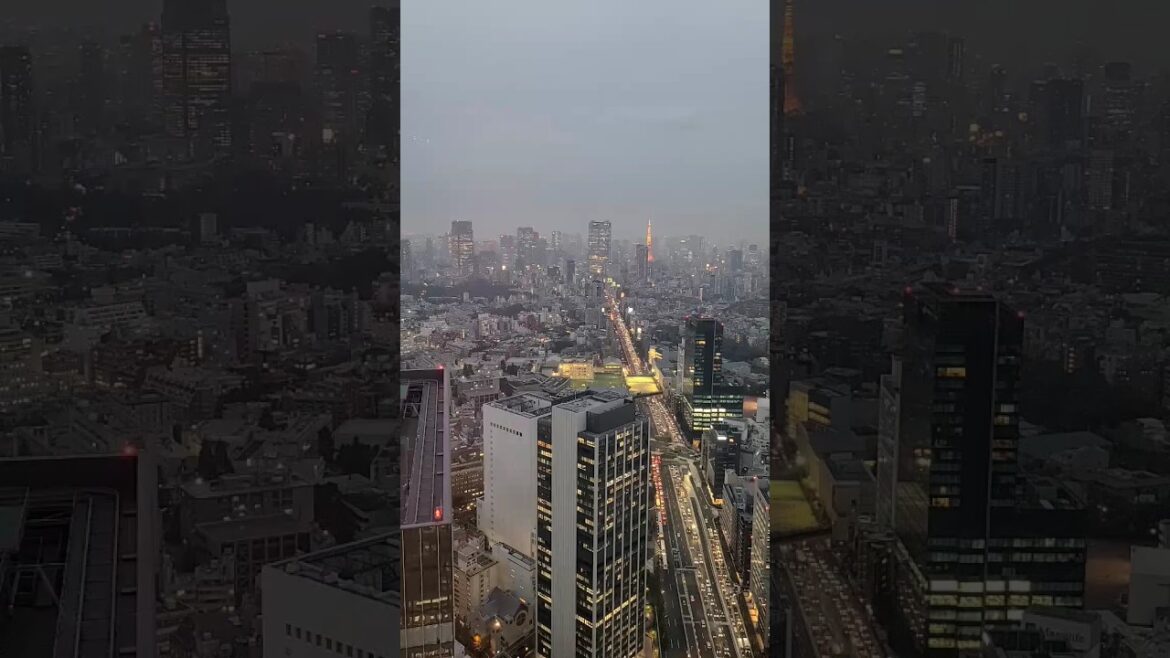 Tokyo city Short /travel short