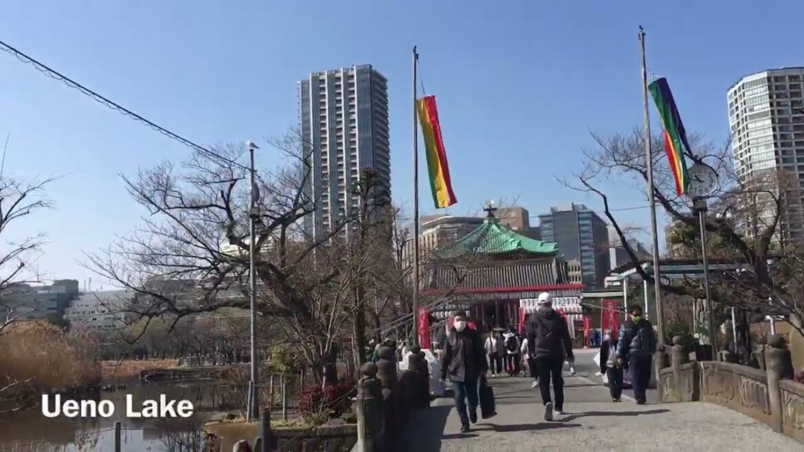 Strolling Ueno Park in Tokyo🇯🇵 #japan #travel #tokyo