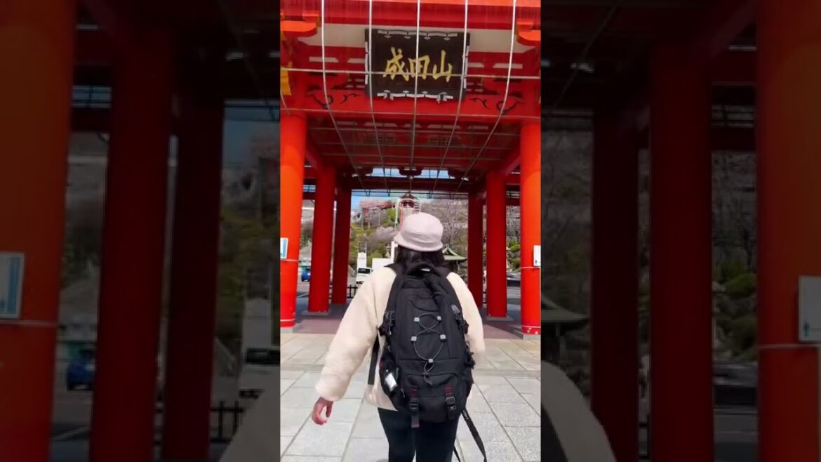 Wandering in Inuyama 1 #shorts #travel #japan #sakura #2022
