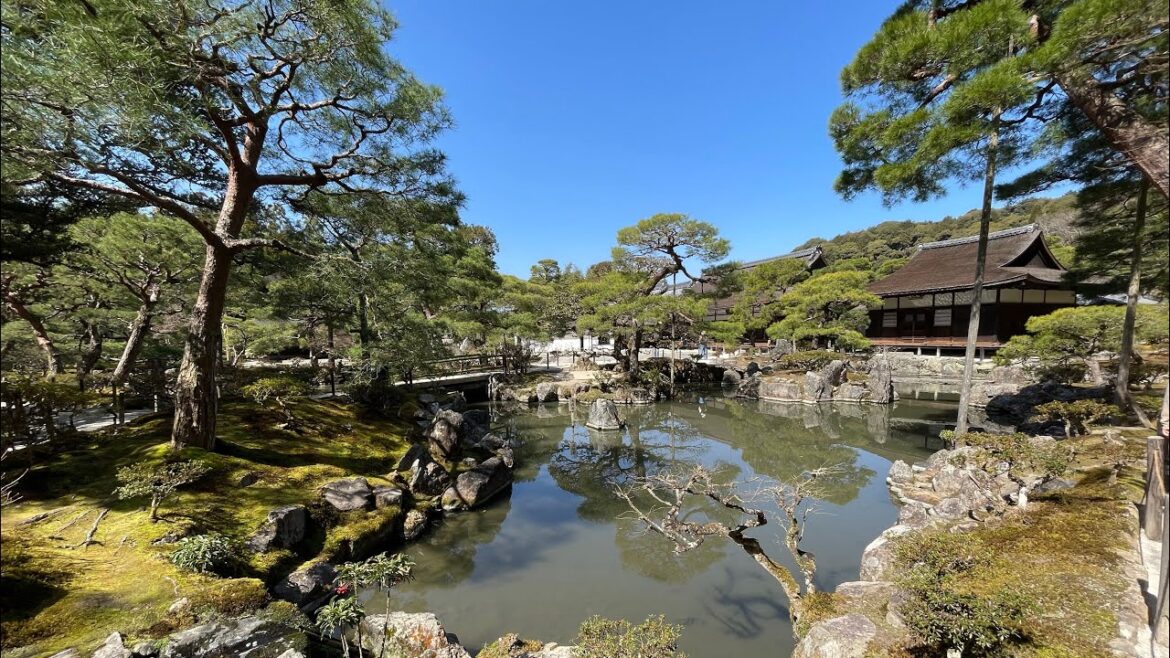 Road to Kyoto! • Japan 2023 #3 [Kyoto]