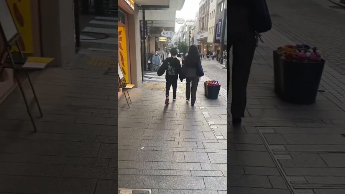 Japan Motomachi walk