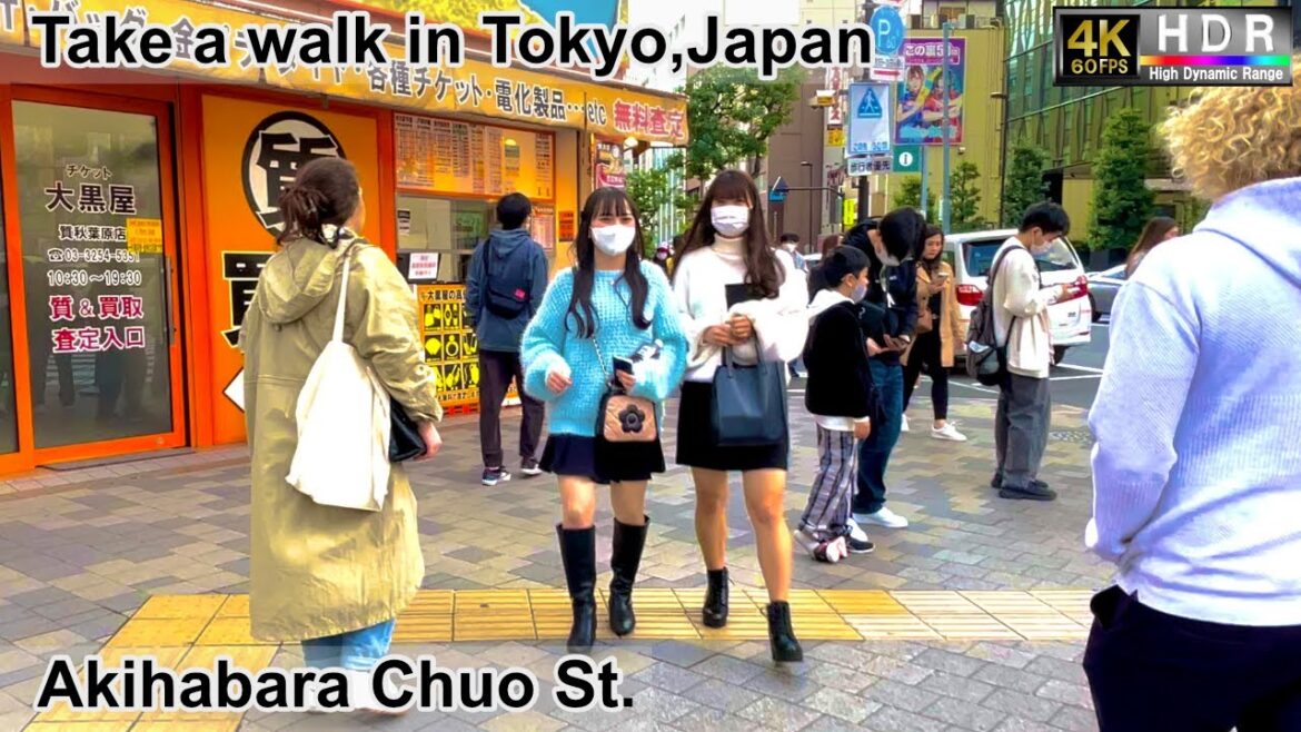 4K 60fps HDR// Take a walk in Tokyo, Japan,Akihabara Sta.→Akihabara Central St.→Suehirocho Sta. area