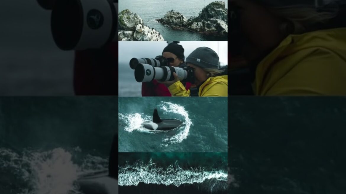 Kuril Islands Kamchatka Kuril Islands Kamchatka